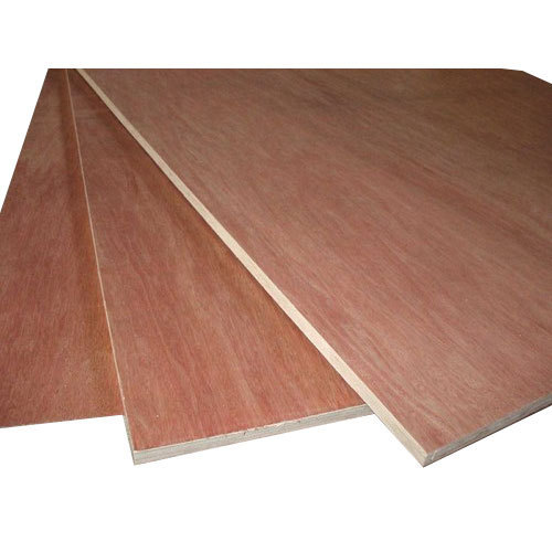 Commercial Grade  Ply wood (Okumi Face)